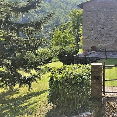 Casa Titina Riposo E Relax Nella Campagna Toscana Pratovecchio Εξωτερικό φωτογραφία
