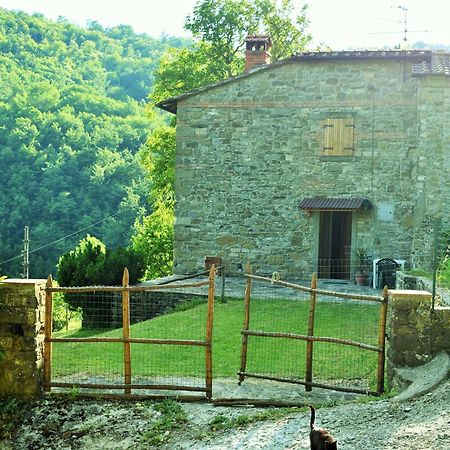 Casa Titina Riposo E Relax Nella Campagna Toscana Pratovecchio Εξωτερικό φωτογραφία