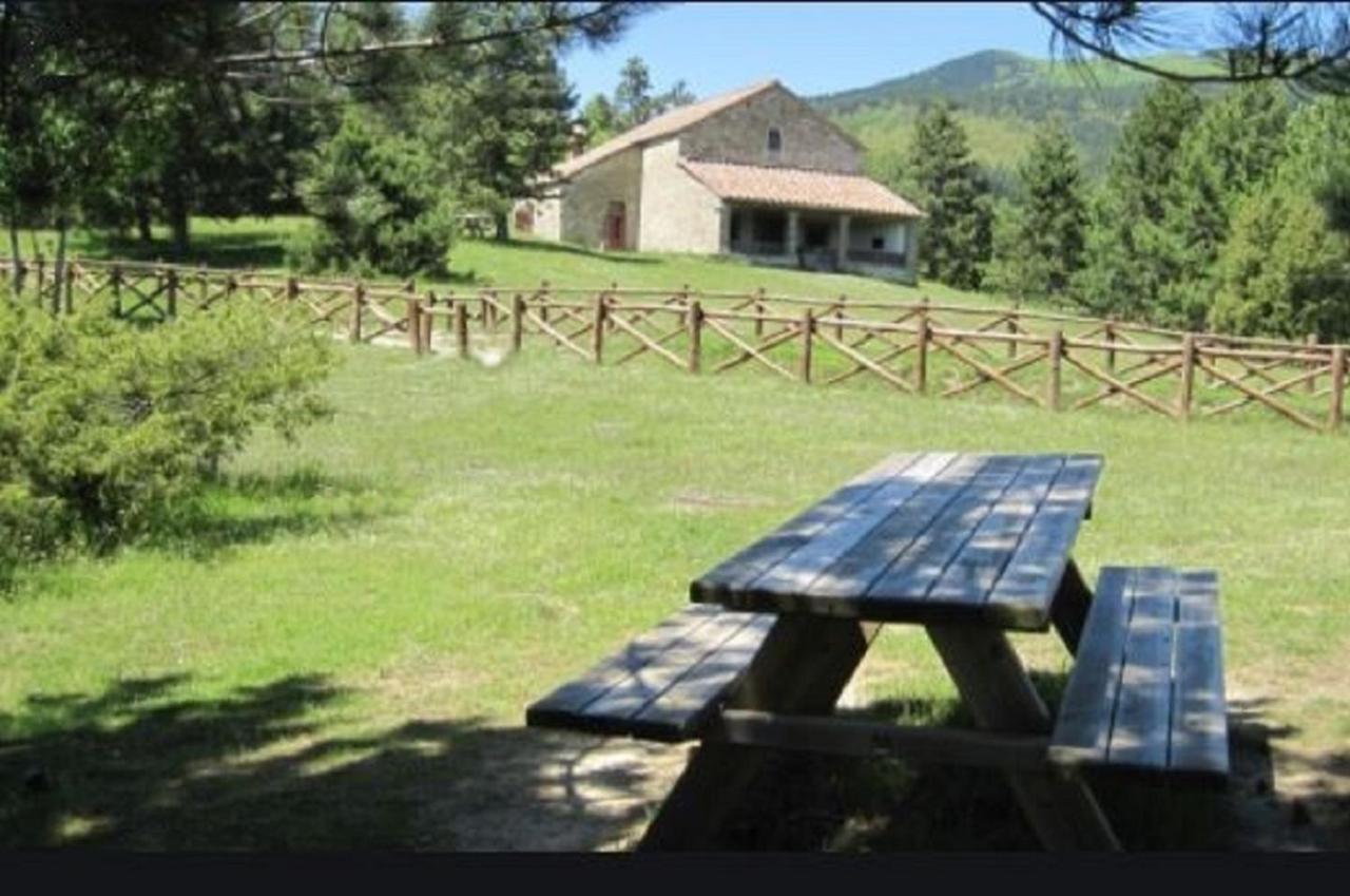 Casa Titina Riposo E Relax Nella Campagna Toscana Pratovecchio Εξωτερικό φωτογραφία