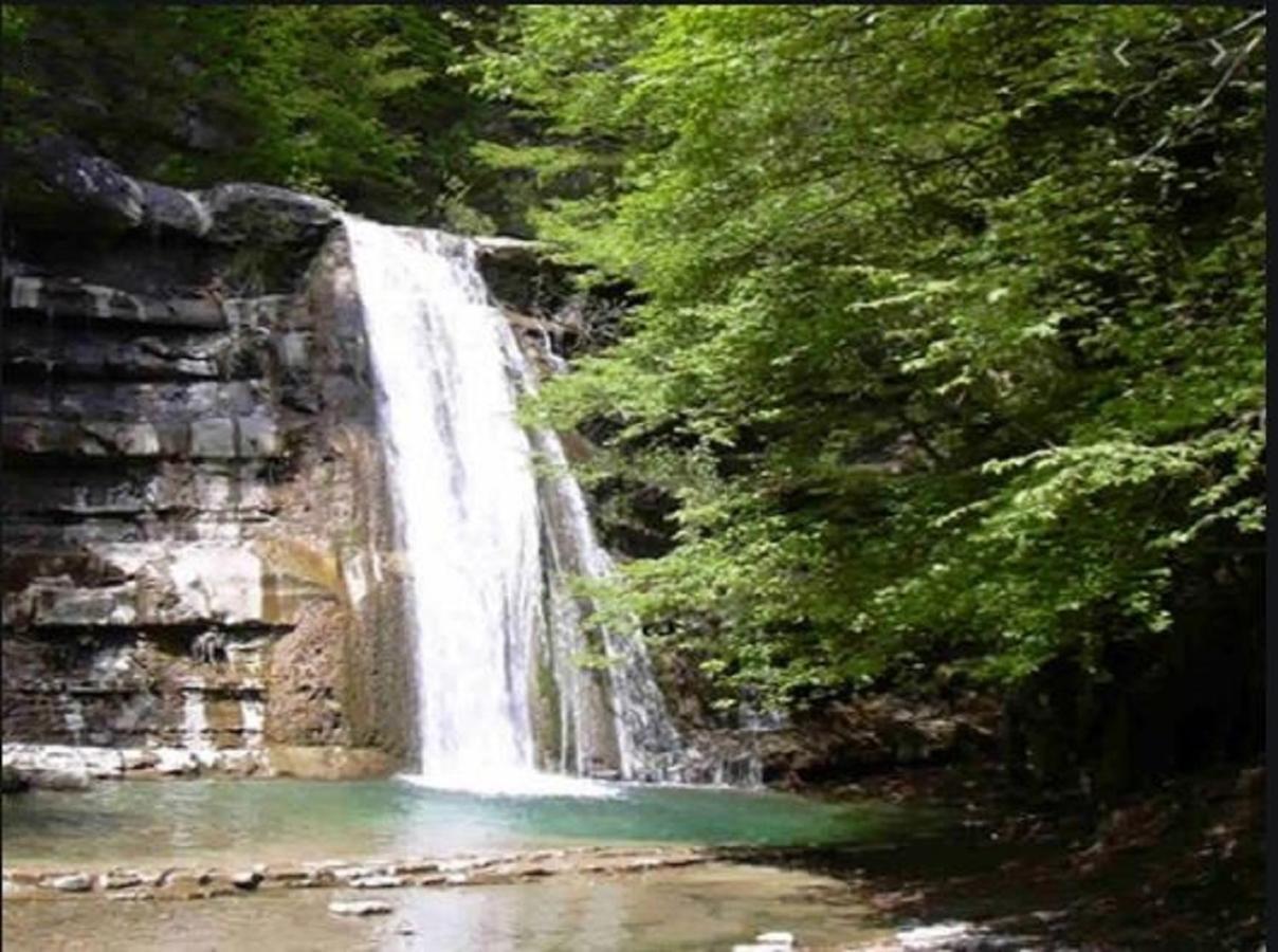 Casa Titina Riposo E Relax Nella Campagna Toscana Pratovecchio Εξωτερικό φωτογραφία