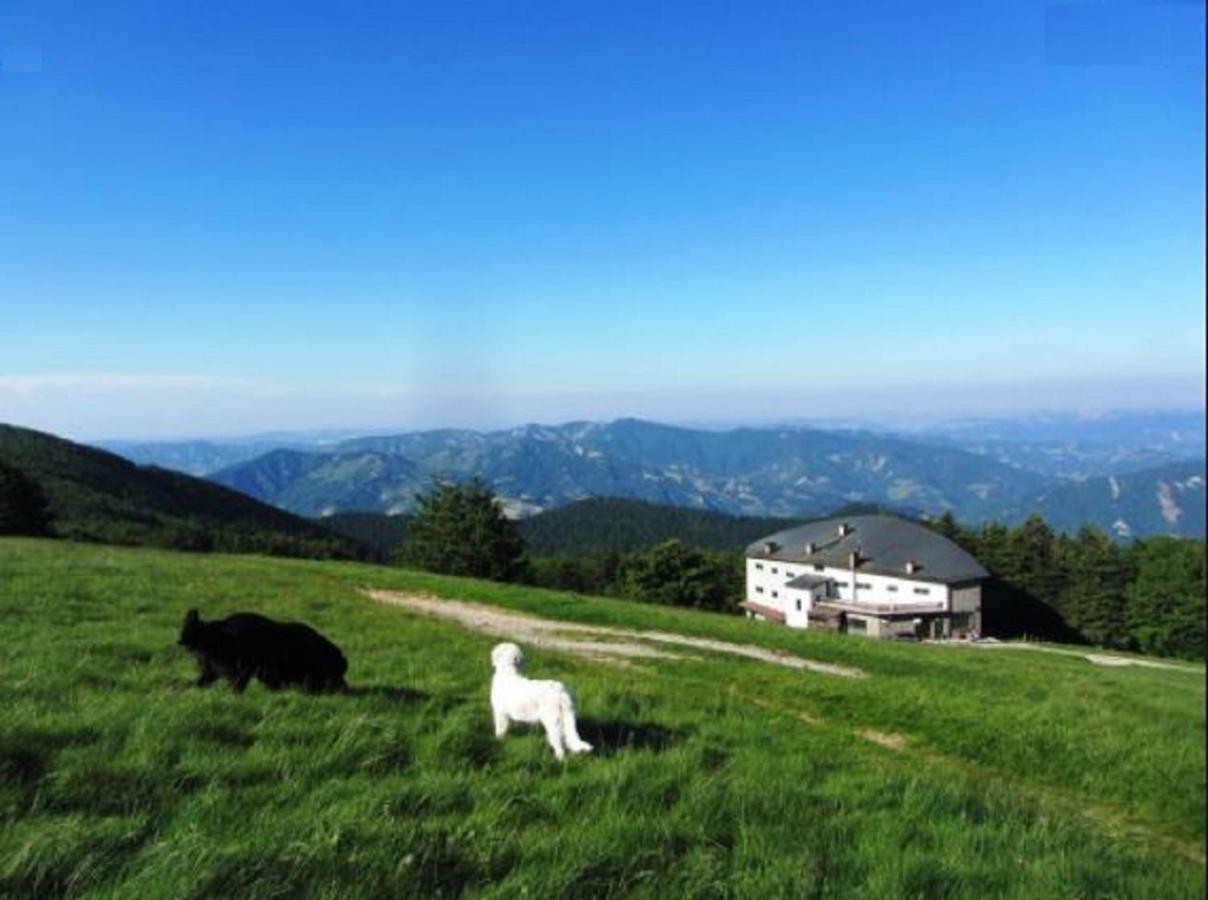 Casa Titina Riposo E Relax Nella Campagna Toscana Pratovecchio Εξωτερικό φωτογραφία
