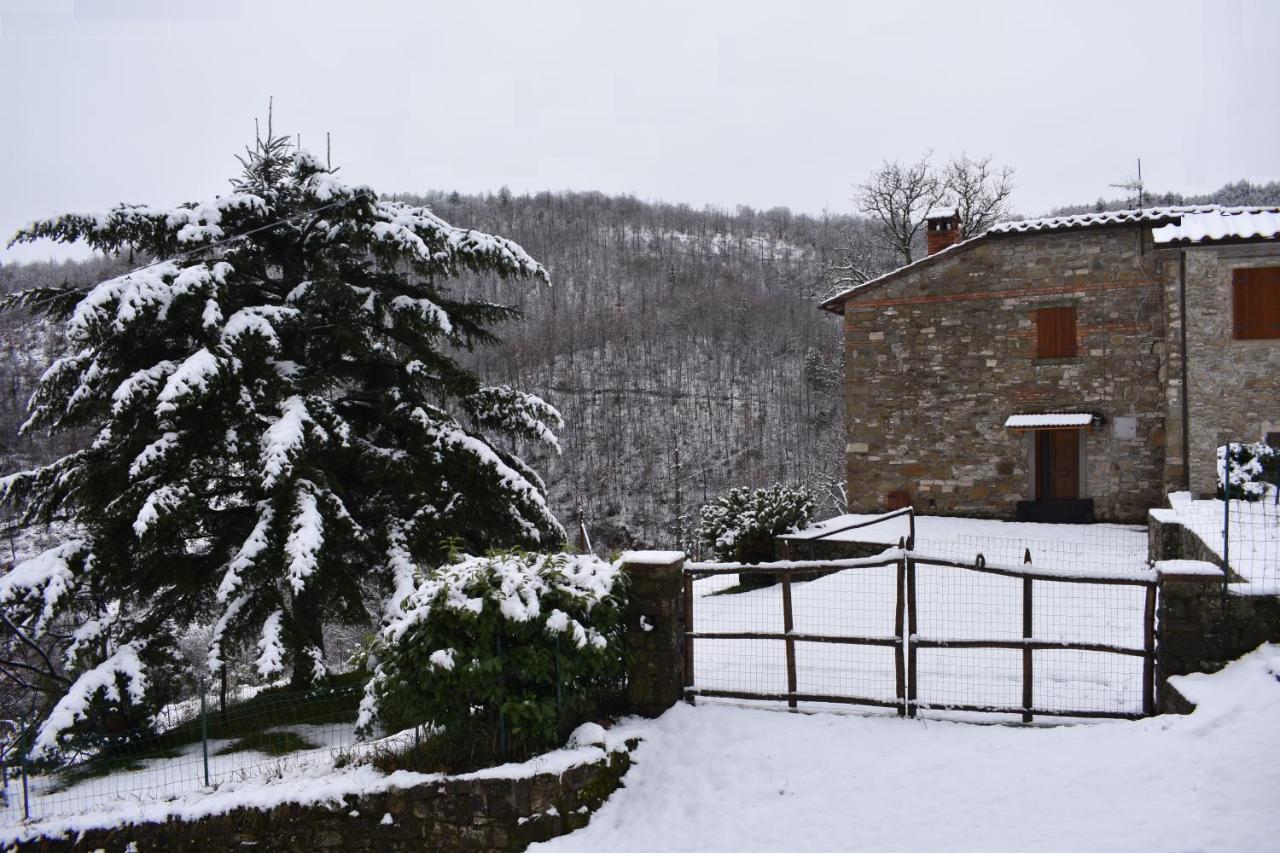 Casa Titina Riposo E Relax Nella Campagna Toscana Pratovecchio Εξωτερικό φωτογραφία