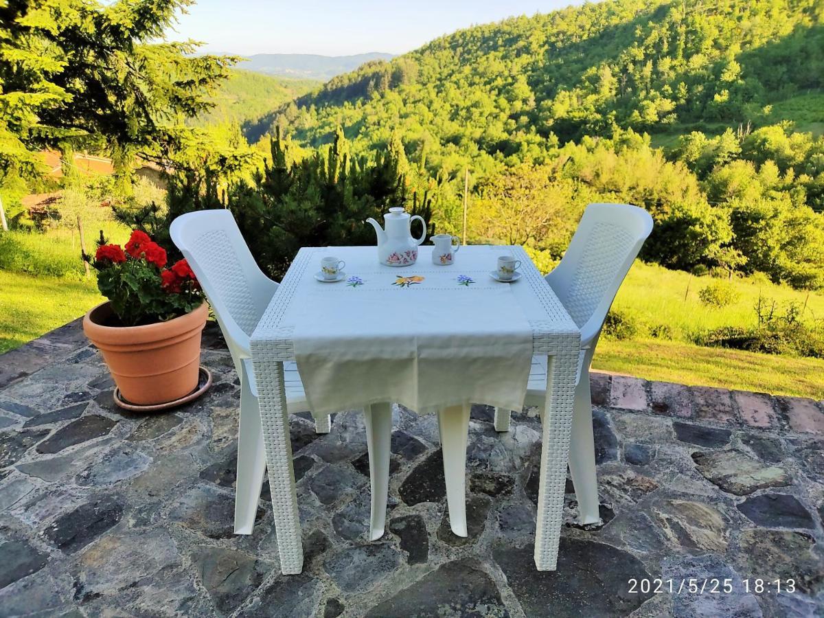 Casa Titina Riposo E Relax Nella Campagna Toscana Pratovecchio Εξωτερικό φωτογραφία