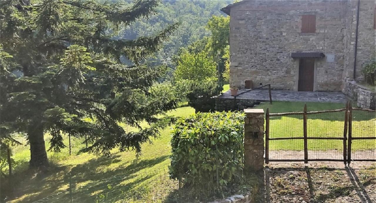Casa Titina Riposo E Relax Nella Campagna Toscana Pratovecchio Εξωτερικό φωτογραφία