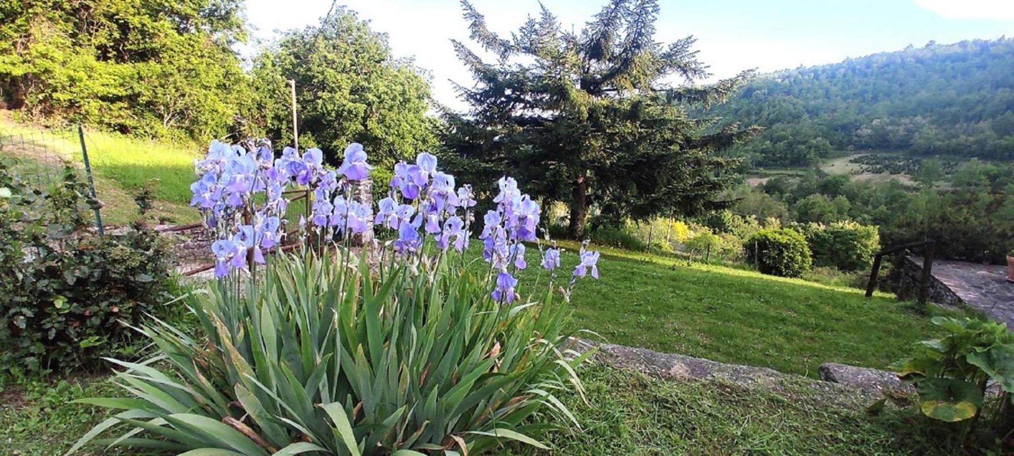 Casa Titina Riposo E Relax Nella Campagna Toscana Pratovecchio Εξωτερικό φωτογραφία